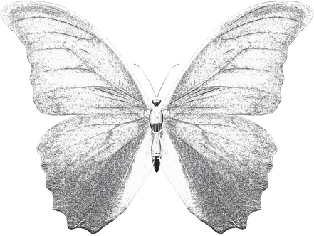3D Y2K Butterfly